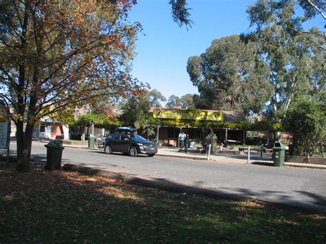 Gundagai Archives - Trevor's Birding - Trevor's Birding