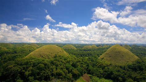 nature, Landscape, Forest, Mountain, Hill, Trees, Philippines ...