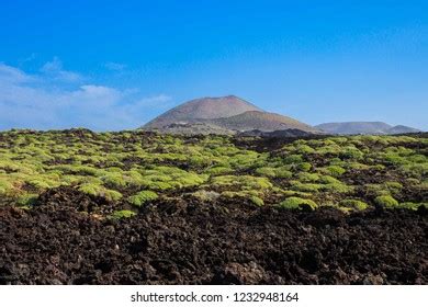 Canary Islands Volcanoes Road Between Volcanoes Stock Photo 1232948164 ...