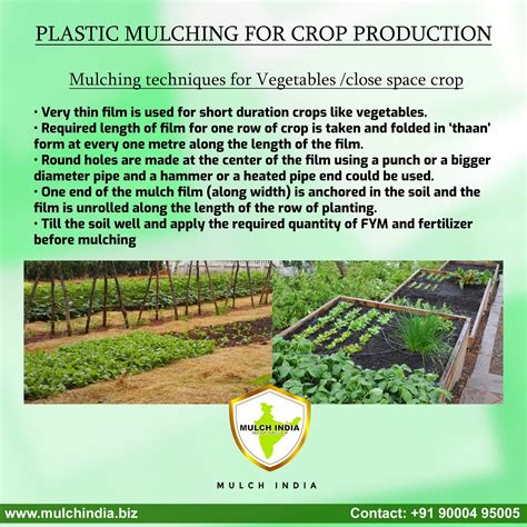 MulchIndia: Mulching techniques for Vegetables /close space crop- Mulch India Call us: +91 ...