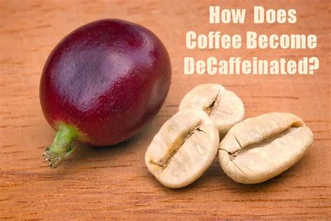 How Decaf Coffee Is Made: Four Ways to Decaffeinate Coffee - Craft Coffee Guru