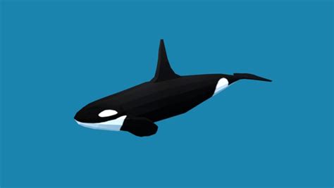 Cartoon orca killer model - TurboSquid 1416153