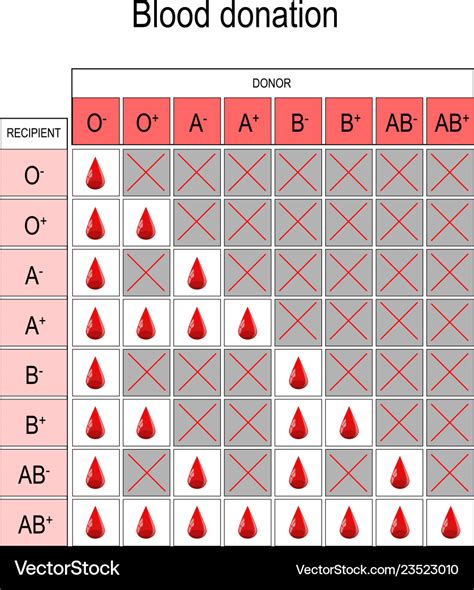 Blood Type Chart Donor Blood Vector Illustration Stock Vector | The ...