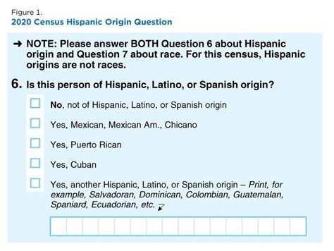 Improvements to the 2020 Census Race and Hispanic Origin Question Designs, Data Processing, and ...