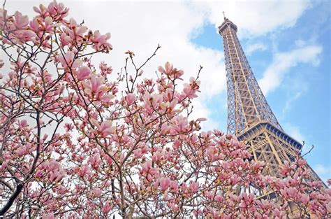 Best Places to Visit in France in Spring 2024 (France Spring Ideas ...