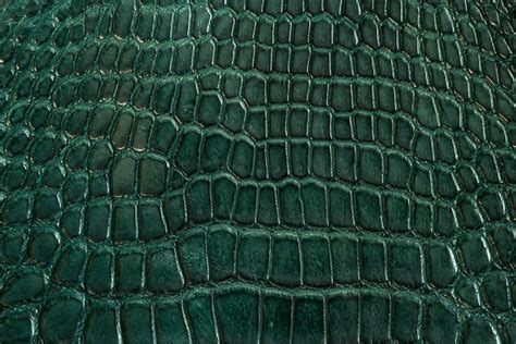 Green Crocodile Skin Background