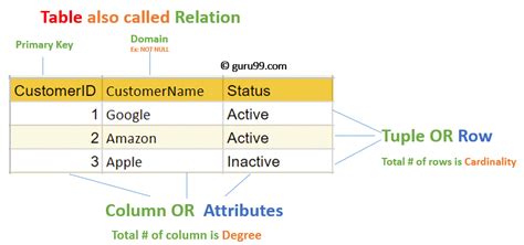 Relational Database Management System: Know the Basics