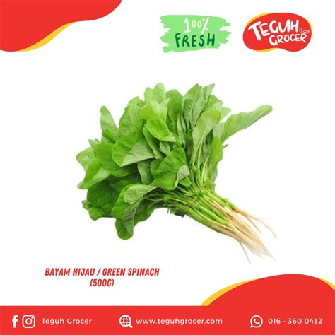 Fresh Bayam Hijau / Green Spinach (500g) | Shopee Malaysia