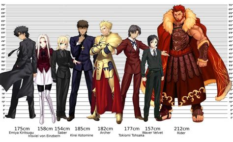 Fate/Zero Character Height Chart 1.1 : r/fatestaynight