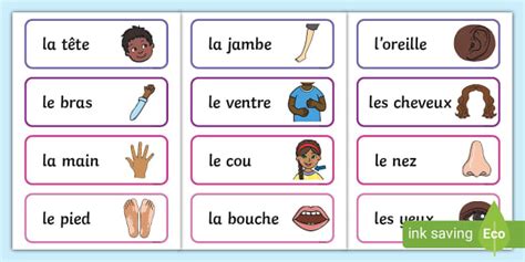 French Body Parts Vocabulary Cards - French Language