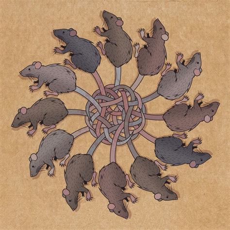 Rat king | Rat king, Rats, King art