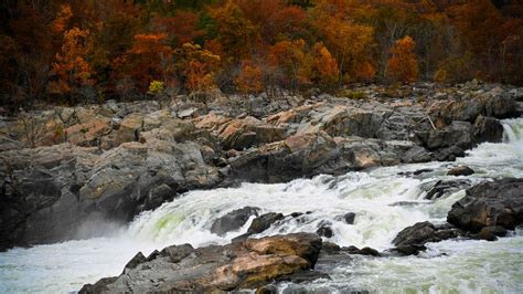 Fall Colors 2021: When, Where to See Autumn Leaves in the DC Area ...