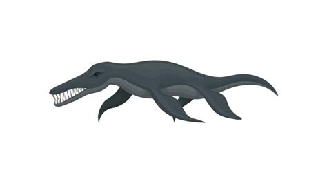 Liopleurodon Vectors & Illustrations for Free Download | Freepik