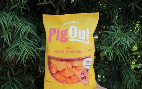 Vegan Pig Out Bacon Chips to Disrupt the Pork Rind Snack Industry ...