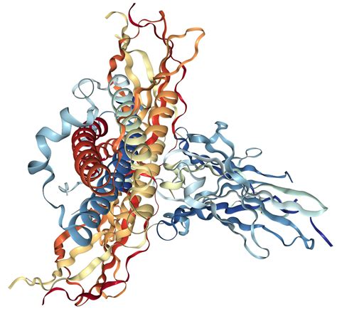 G-CSF Protein Overview | Sino Biological