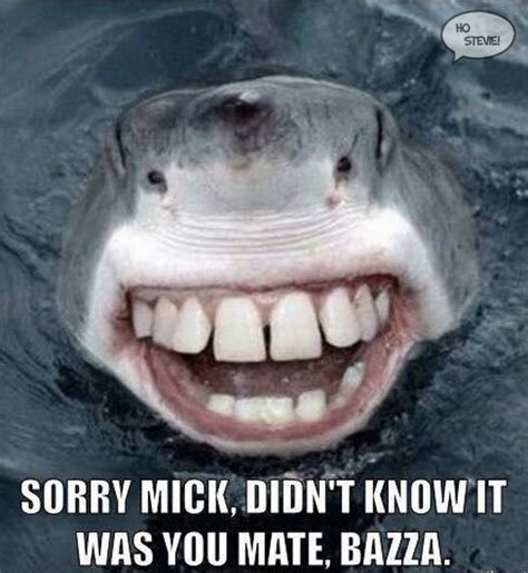 Mick Fanning Shark Attack Memes