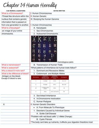 Chapter 14 cornell notes | PDF