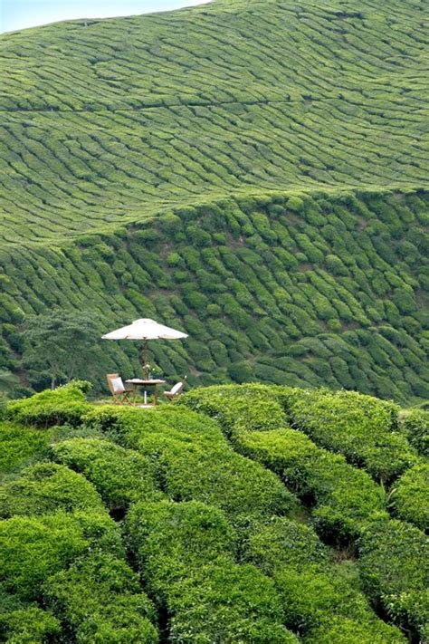 Cameron Highlands Resort, Luxury Hotel in Pahang, Malaysia | Small ...