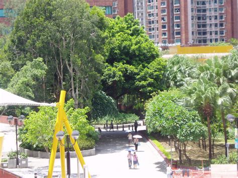 Sha Tin Park, New Territories, Hong Kong. - Land8