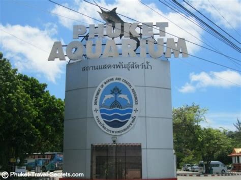 Phuket Aquarium | Attractions and Things to do with Kids in Phuket