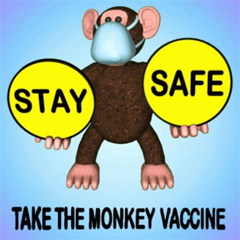 Stay Safe Take Monkey Vaccine GIF | GIFDB.com