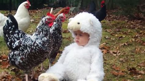 Cute Babies Love Farm Animals - TRY NOT TO LAUGH at This Funny Baby Fails Compilation - YouTube