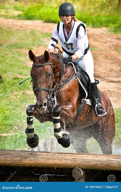 Woman Horseback on Jumping Brown Chestnut Horse Editorial Photography - Image of grace, danger ...