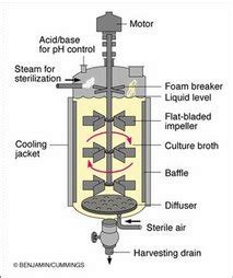 Fermentation technology: DESIGN OF INDUSTRIAL FERMENTATION PROCESS