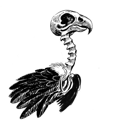 Premium Photo | Vulture bird skeleton. Ink black and white drawing