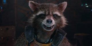 5 Actors You Never Knew Voiced Rocket Raccoon | Cinemablend