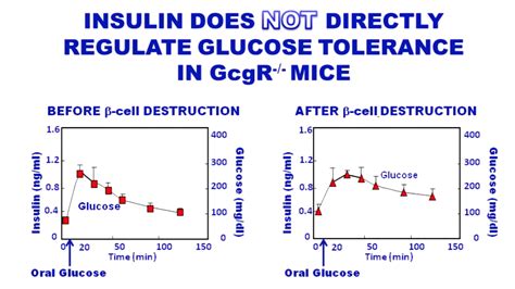 CrossFit | Insulin Is not Required for Glucose Uptake Into Cells