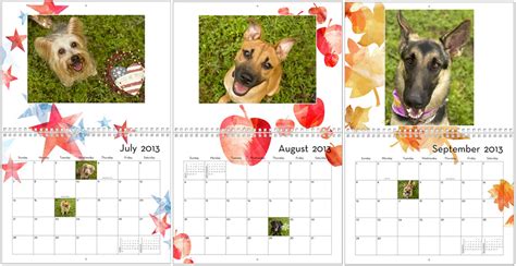 Dog Days of Summer 2013 calendars are here! San Diego Pet Photographer ...