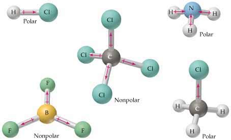 Molecule Polarity