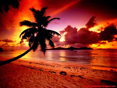 Paradise Beach Wallpaper - WallpaperSafari