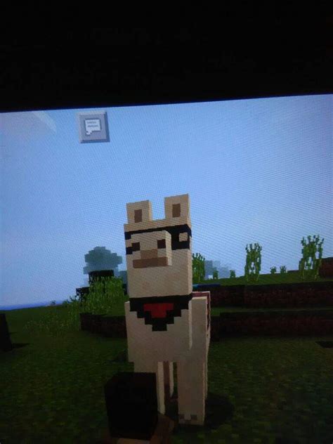 Minecraft Llama Carpet Designs | www.stkittsvilla.com