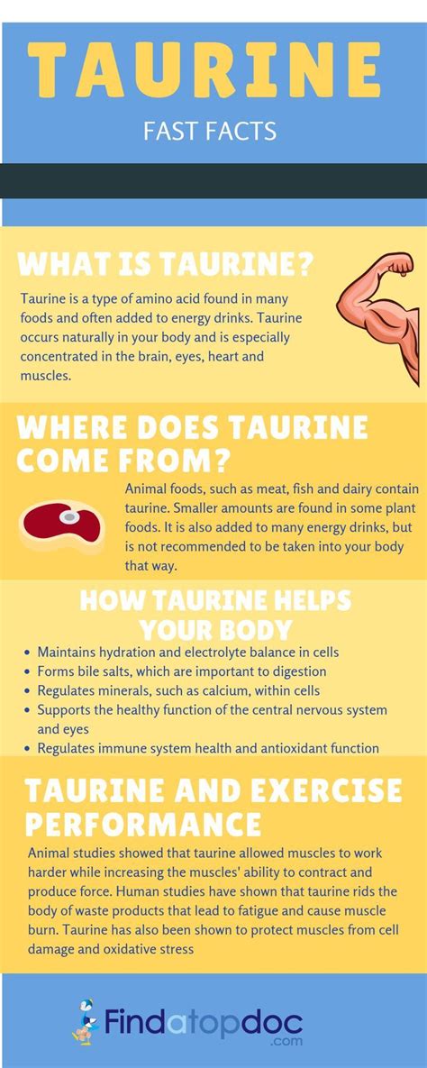 Best food sources of taurine - textmilo