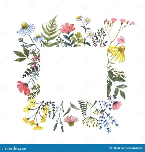 Beautiful Wildflower Border with Hand Painted Summer Meadow Flowers, Herbs, Grass, Leaves ...