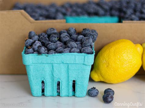 Blueberry Lemon Pie Filling Canning Recipe for Waterbath Method ...