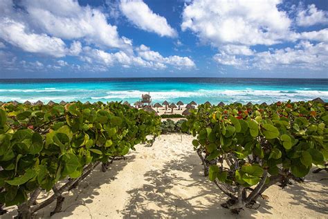 Playa Delfines Cancun: The Complete Guide!