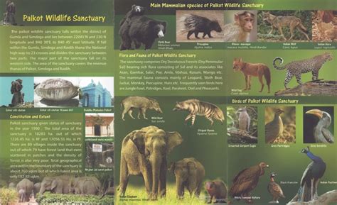 8 Best Wildlife Sanctuaries In Jharkhand, India | Trip101