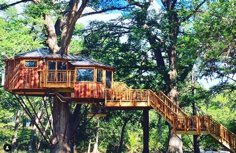 Tree House Rentals: 17 Unique Places to Stay on Your Next Vacation