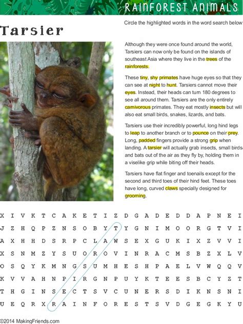 Fact Sheet and Word Search for Tarsier Habitat - MakingFriends