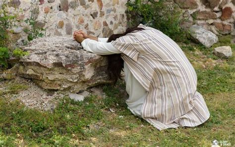 Jesus Praying On The Mountain