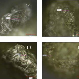 Optical microscopy images of potassium carbonate -alginate beads ...