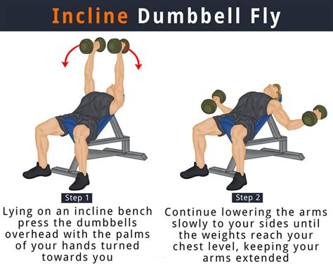 Incline Dumbbell Fly | DO DAILY WORKOUT | Dumbbell fly, Daily workout, Workout