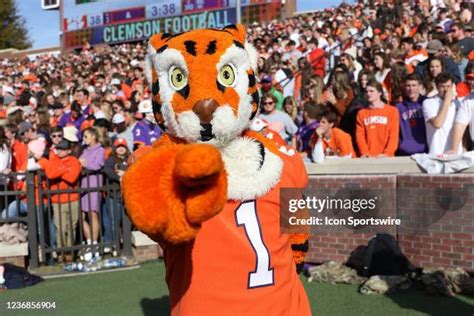 Clemson Mascot Photos and Premium High Res Pictures - Getty Images