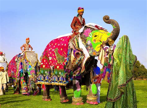 Elephant festival in India - Jim Zuckerman photography & photo tours