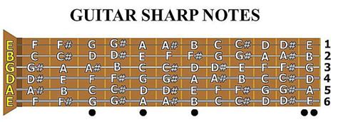 Violin Fingering Guide (With Picture)