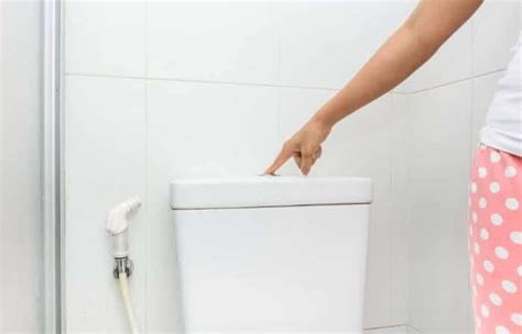 How To Make A Toilet Flush Quietly: 5 Ways - Soundproof Panda