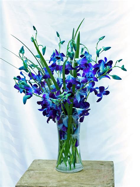 Beautiful Blue Orchids by Crossroads Florist